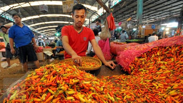 Cabai rawit merah-1640848276