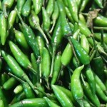 Ilustrasi cabai rawit hijau-1644127848