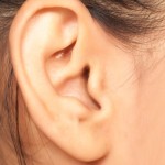 Ilustrasi transplantasi telinga-1654348552