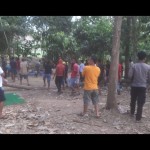 Sabung Ayam-1662461900