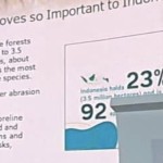 Ketua DPP Garda Pemuda NasDem (GPND) Chepy Aprianto dalam forum Pavilun Indonesia COP27, Mesir. ANTARA/HO-DPP GPND-1668587842