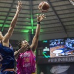 basket-1671081278