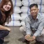Ilustrasi komoditas kopi Lampung. ANTARA/Agus Wira Sukarta-1692687217