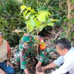 Dandim Polman perintahkan personelnya tanam pohon cegah banjir-1704264527