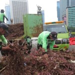 DPRD DKI minta DKI evaluasi perayaan tahun baru imbas tanaman rusak-1704197801