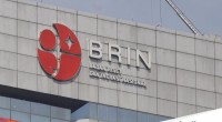 brin-1780204286