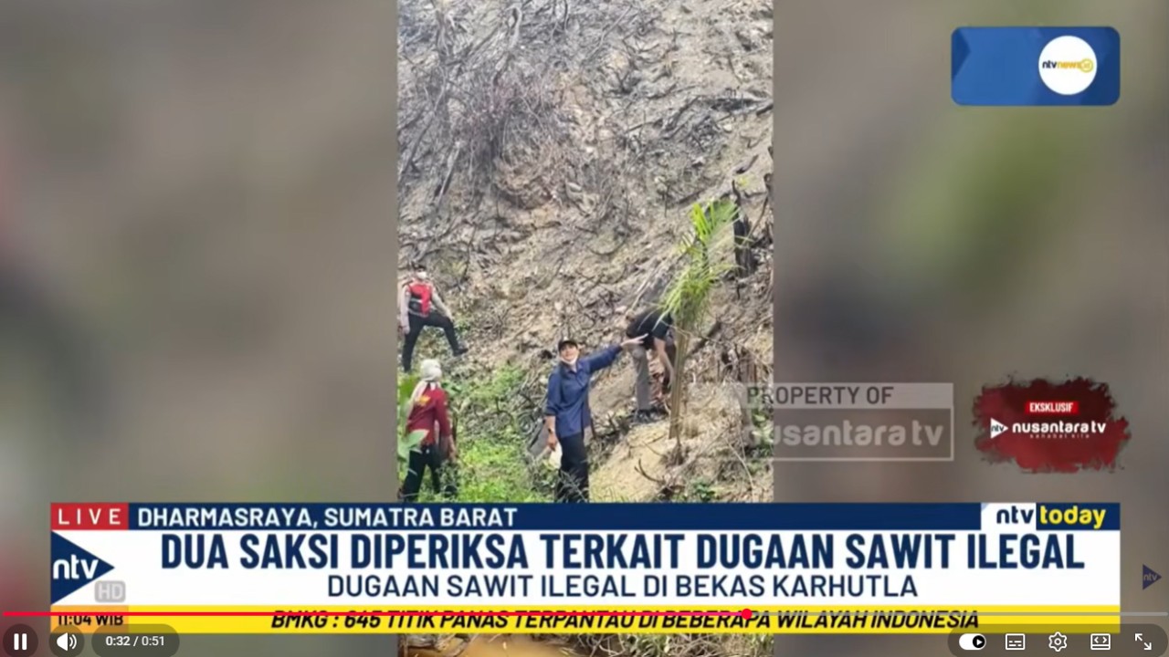 Pemerintah Kabupaten Dharmasraya, Sumatera Barat, bersama kepolisian mengusut dugaan penanaman kelapa sawit ilegal di lahan bekas kebakaran hutan dan lahan (Karhutla) seluas 5,9 hektar di kawasan hutan produksi terbatas Bukit Lantak, Kecamatan Timpa, Sumatra Barat.