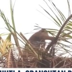 Tangkapan layar Nusantara TV-1792982730