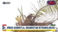 Tangkapan layar Nusantara TV-1792982730
