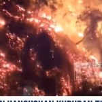 Tangkapan layar Nusantara TV-1793069081