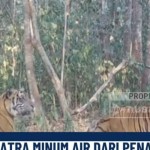 Tangkapan layar Nusantara TV-1793326899